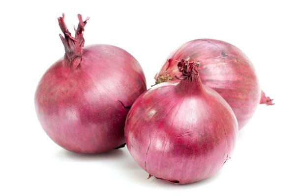 Kraken darknet onion