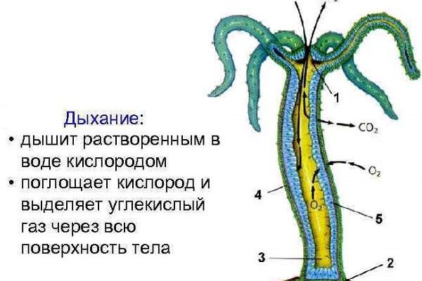 Darknet ссылка кракен kraken014 com