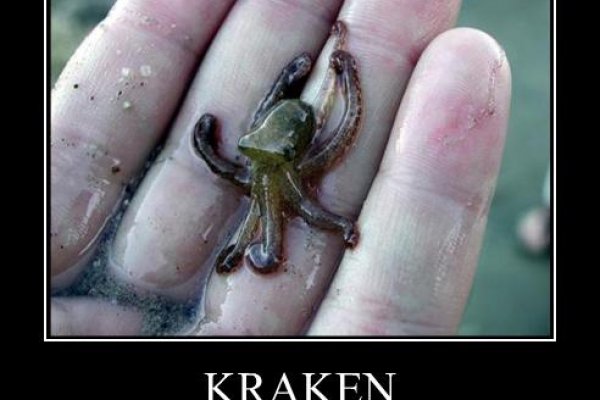 Kraken russia