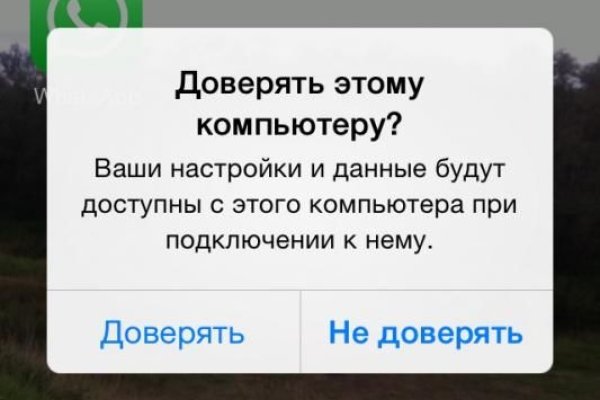 Какая ссылка на кракен
