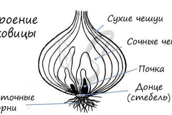 Ссылка на кракен 14ат